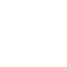 BMW Logo